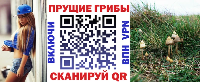 ОМГ ОМГ маркетплейс  Сатка  Галлюциногенные грибы ЛСД 